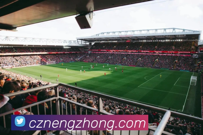 App Interface Preview